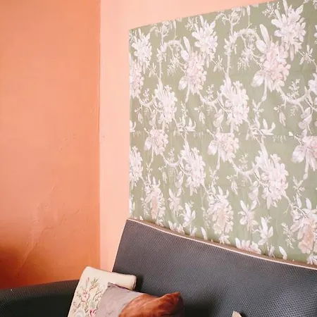 Pensionat Pensao Flor De *