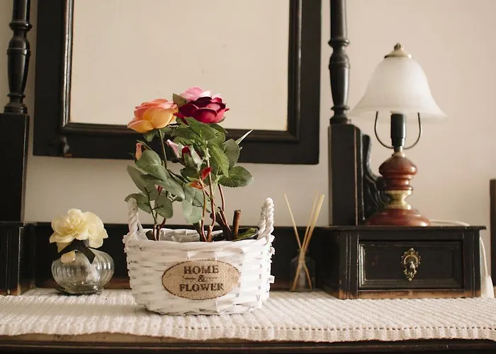 Gasthof Pensao Flor De *